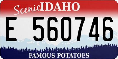 ID license plate E560746