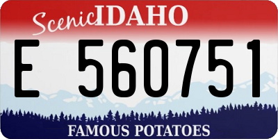 ID license plate E560751