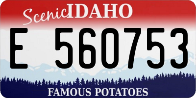 ID license plate E560753