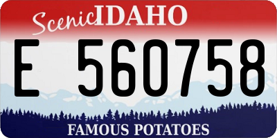 ID license plate E560758