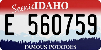 ID license plate E560759