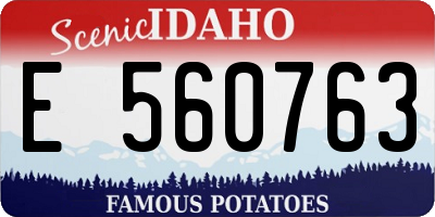 ID license plate E560763