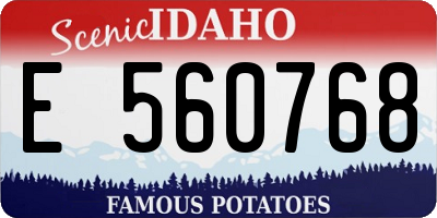 ID license plate E560768