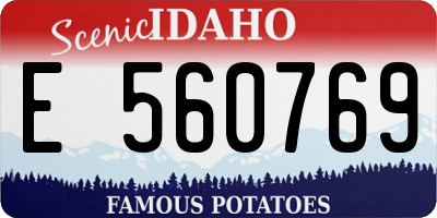 ID license plate E560769
