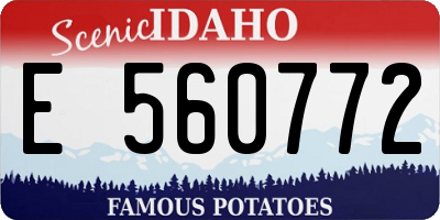 ID license plate E560772