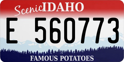 ID license plate E560773