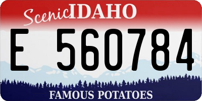 ID license plate E560784