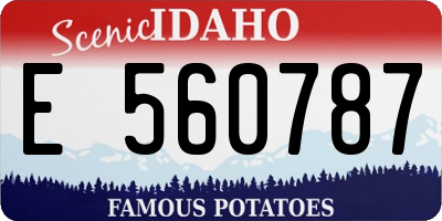 ID license plate E560787