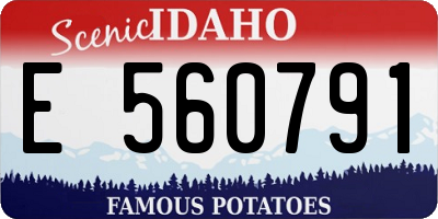 ID license plate E560791