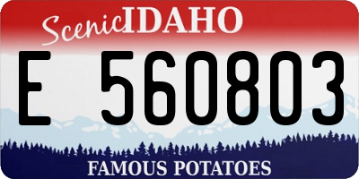 ID license plate E560803