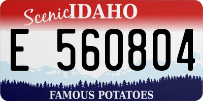 ID license plate E560804