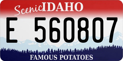 ID license plate E560807