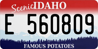 ID license plate E560809
