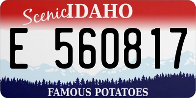 ID license plate E560817