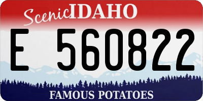 ID license plate E560822
