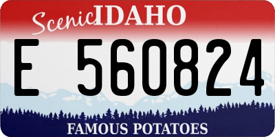 ID license plate E560824