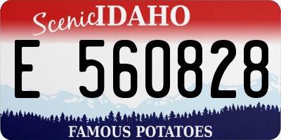 ID license plate E560828