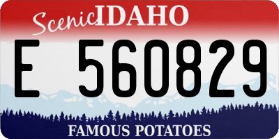ID license plate E560829