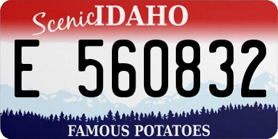 ID license plate E560832