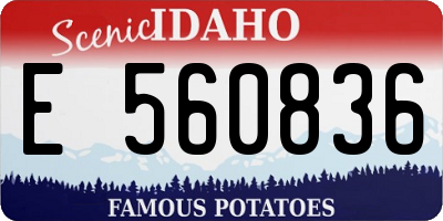 ID license plate E560836