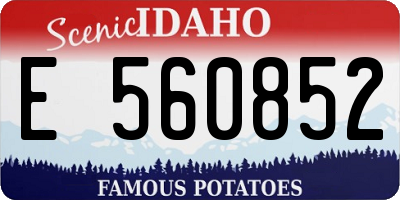 ID license plate E560852