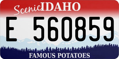 ID license plate E560859