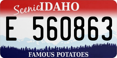 ID license plate E560863
