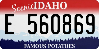 ID license plate E560869