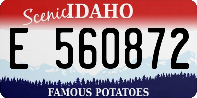 ID license plate E560872
