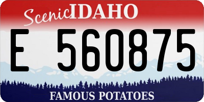 ID license plate E560875