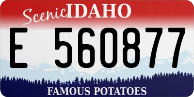 ID license plate E560877
