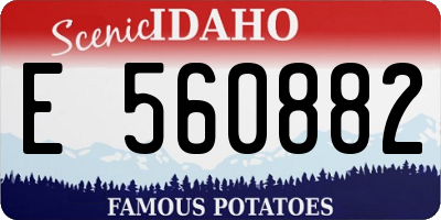 ID license plate E560882