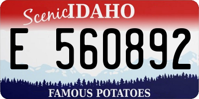 ID license plate E560892