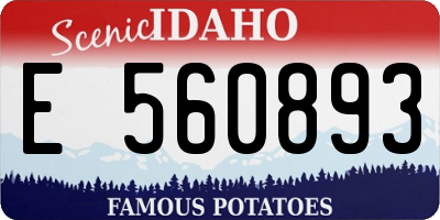 ID license plate E560893