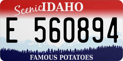 ID license plate E560894