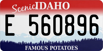 ID license plate E560896