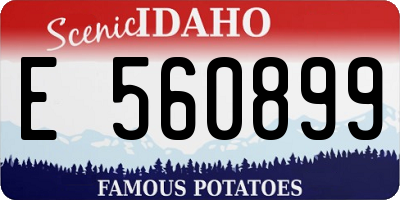 ID license plate E560899