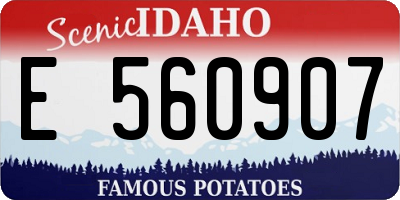 ID license plate E560907