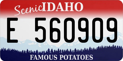 ID license plate E560909