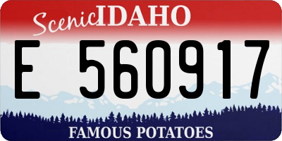 ID license plate E560917