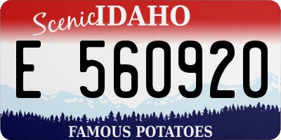 ID license plate E560920