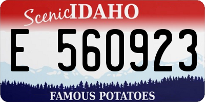 ID license plate E560923