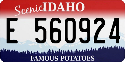 ID license plate E560924