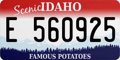 ID license plate E560925