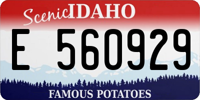 ID license plate E560929