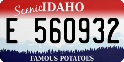 ID license plate E560932