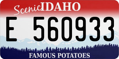 ID license plate E560933