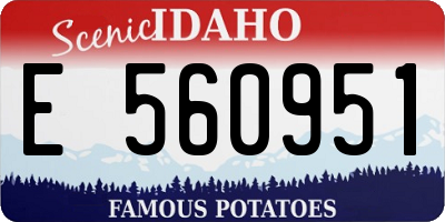 ID license plate E560951