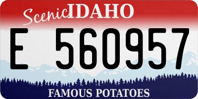 ID license plate E560957