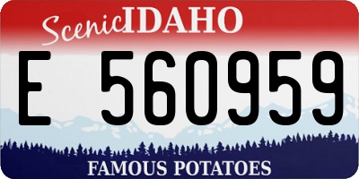 ID license plate E560959